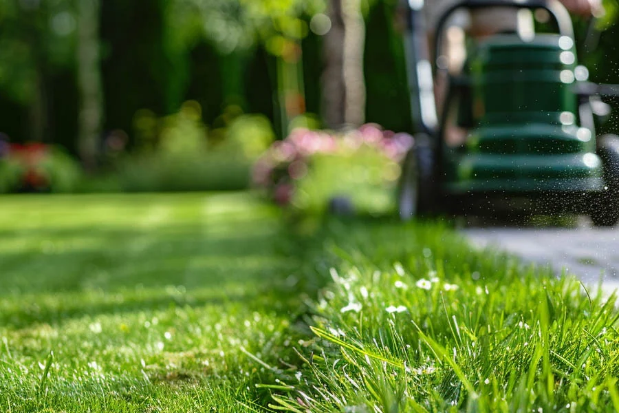 lawn mower for a small yard